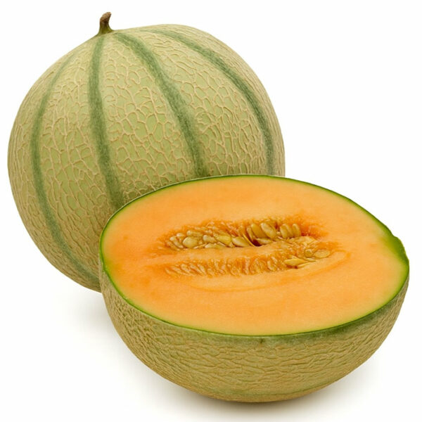 The Flavor Apprentice Cantaloupe