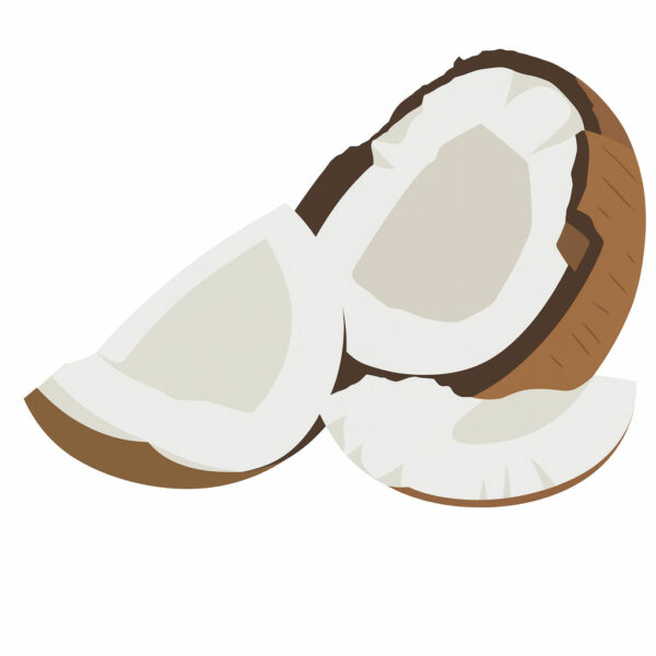 The Flavor Apprentice Coconut 