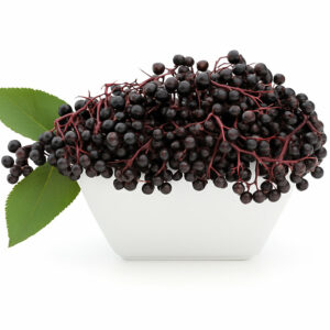 The-Flavor-Apprentice-Elderberry