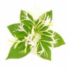 The Flavor Apprentice Honeysuckle