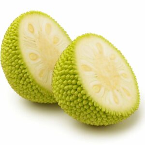 The Flavor Apprentice Jackfruit