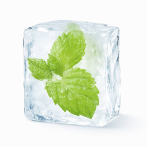 The Flavor Apprentice Menthol Liquid (PG)
