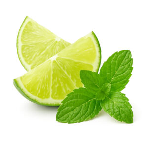 The Flavor Apprentice Mojito Havana Essens