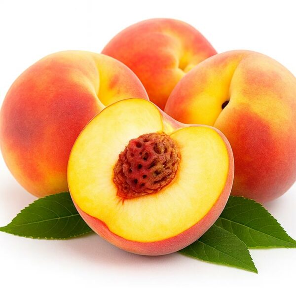The Flavor Apprentice Nectarine