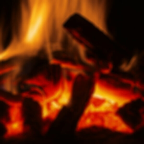 The Flavor Apprentice Red Oak