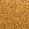 The Flavor Apprentice Rice Crunchies