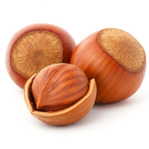 The Flavor Apprentice Hazelnut
