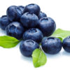 TFA Blueberry (Extra) Flavor