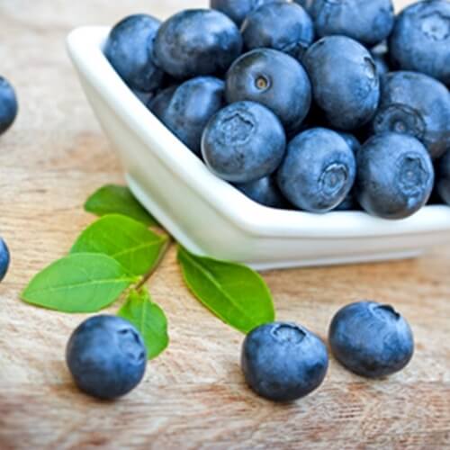 TFA Blueberry (Wild) Flavor