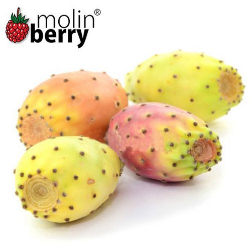 Molinberry Mexican Cactus Flavor