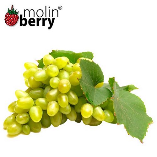 Molinberry Queen Grapes Flavor