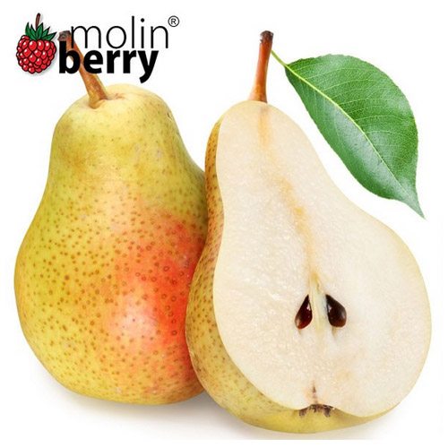 Molinberry Shape Up Pear